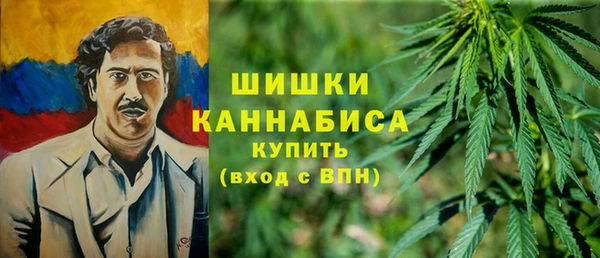 ГАЛЛЮЦИНОГЕННЫЕ ГРИБЫ Новокубанск