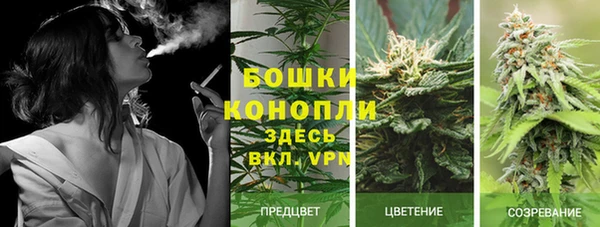 ALPHA-PVP Новодвинск
