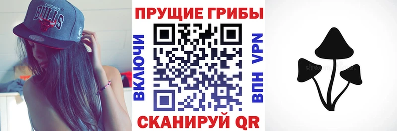 Псилоцибиновые грибы Psilocybe  блэк спрут tor  Рыльск  магазин   